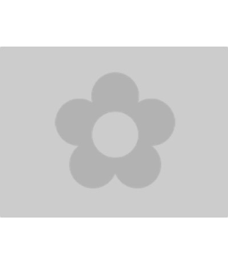 An item image placeholder