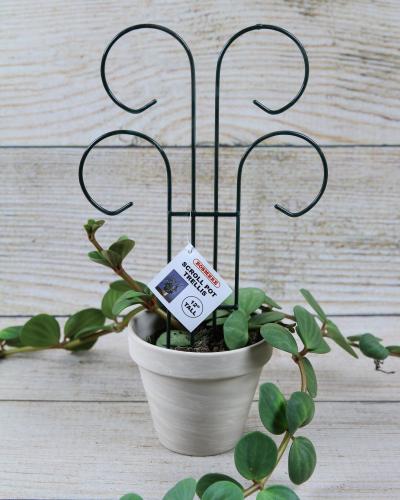 Buy 12 Inch Scroll Trellis | Bath Garden Center & Nursery