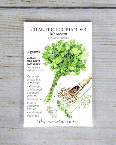 Shop Moroccan Coriander/Cilantro Seeds | Bath Garden Center