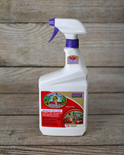 Shop Bonide Deadbug Brew 32oz | Bath Garden Center