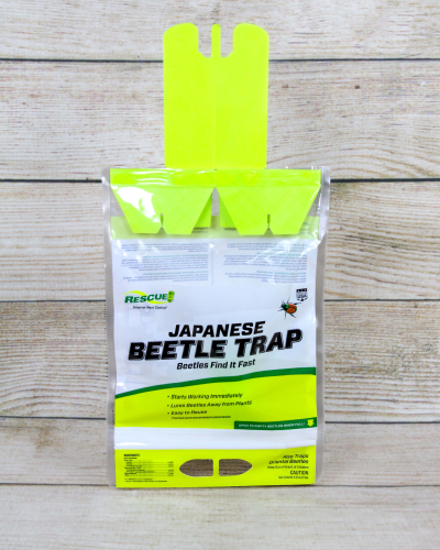 Shop Japanese Beetle Trap | Bath Garden Center & Nursery