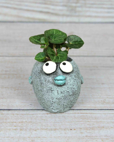 Bubbles Fish Planter