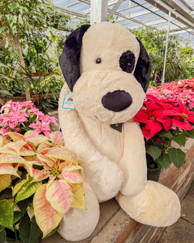 ぬいぐるみ  Bashful Black & Cream Puppy thumbnail.php?plu=670983149043