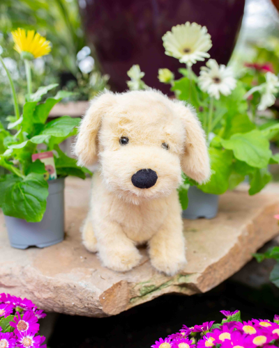 Golden Puppy Jellycat Plush | Bath Garden Center