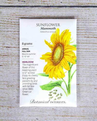 An image of Sunflower (Mammoth)