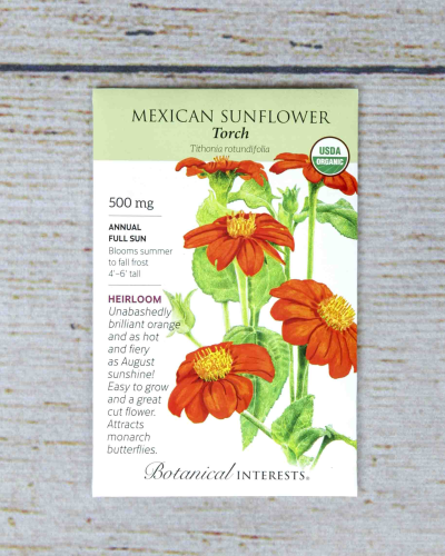 Buy Mexican Torch Sunflower Seeds | Bath Garden Center