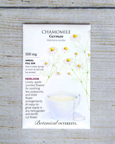 An image of Chamomile (German)