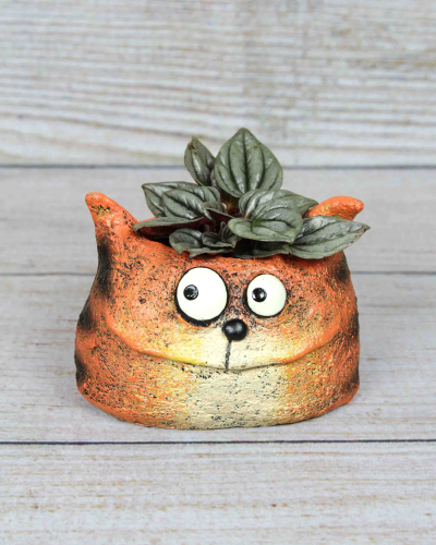 An image of Harley Tiger Planter