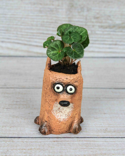 Shop Dexter the Fox Blobhouse Planter | Bath Garden Center
