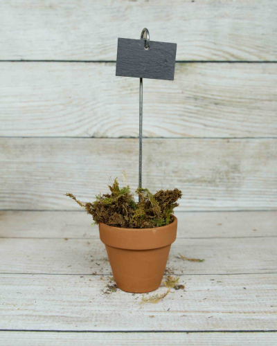An image of Slate Plant Marker